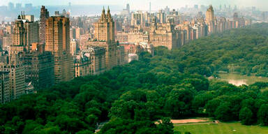 Rätsel um toten Bären im Central Park