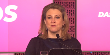 NEOS f&uuml;r "Vereinigte Staaten von Europa"