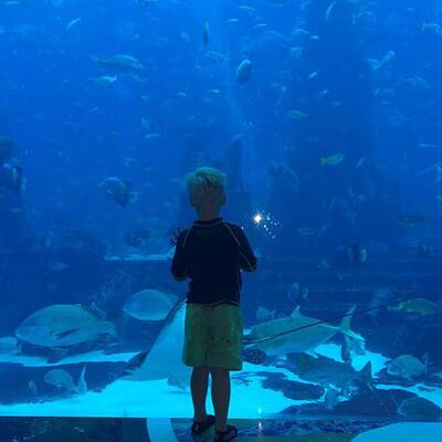 Boris Becker macht Urlaub mit Lilly & Sohn