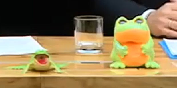 Das steckt hinter Straches Frosch