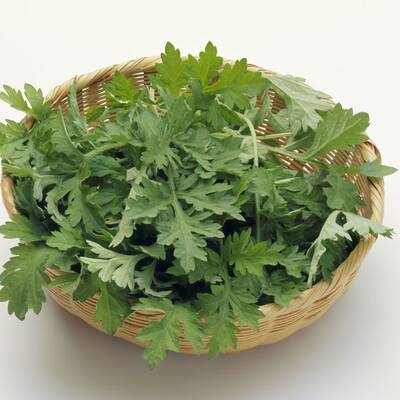 Beifuß regt die Durchblutung an