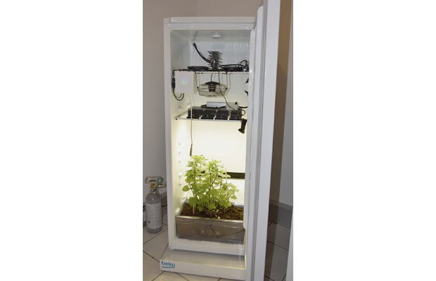 Start-up macht alten Kühlschrank zu Gewächshaus
