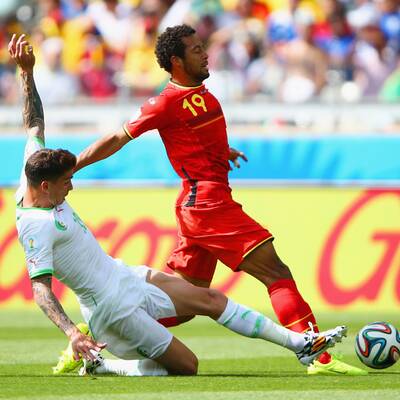 Die Bilder zu Belgien - Algerien