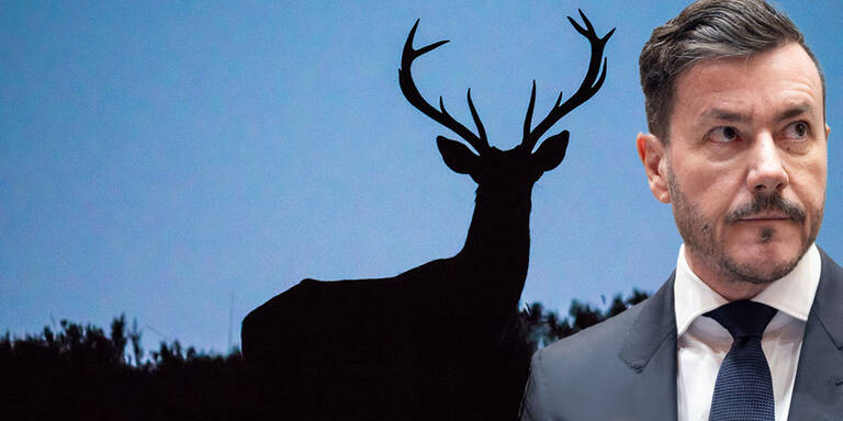 Wieder Wirbel um Benko: Hat 9-Jähriger einen Hirsch erschossen?