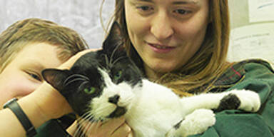 Vermisster Kater tauchte nach 7 Jahren wieder auf