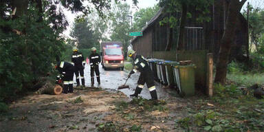 Sturmschäden in NÖ, Steiermark, Burgenland