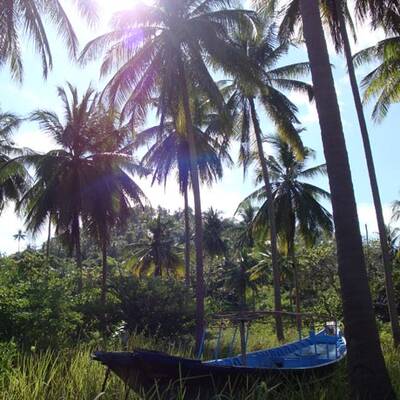 Die schönsten Urlaubsfotos