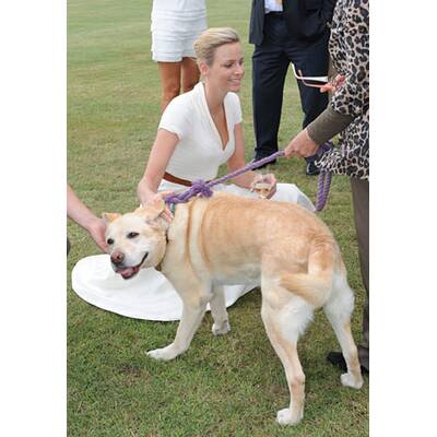 Royals bei Asprey World Class Polo
