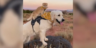 best friends.png