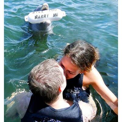 Die schönsten Heiratsanträge 