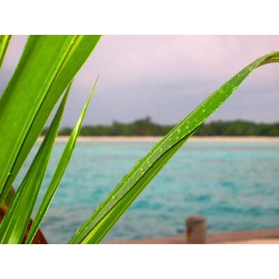 Die besten Urlaubsfotos