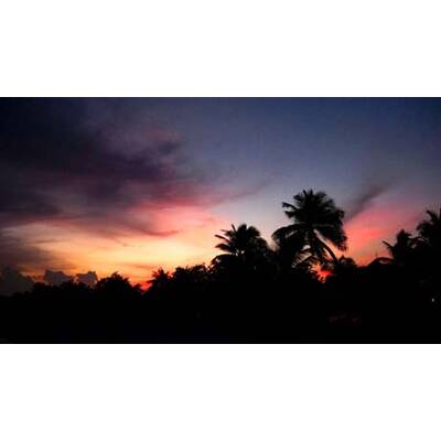 Die romantischsten Fotos