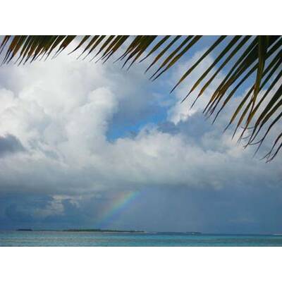 Die besten Urlaubsfotos