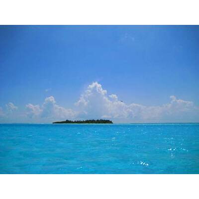 Die besten Urlaubsfotos