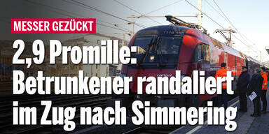 2,9 Promille: Betrunkener randaliert im Zug nach Simmering