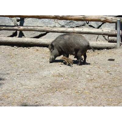 Die besten Urlaubsfotos