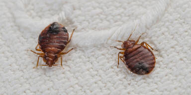 Welche M&auml;ngel den Urlaub billiger machen