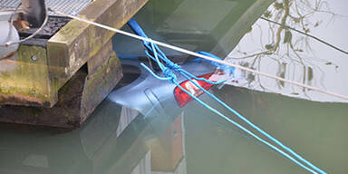 Auto landet im Wiener Donaukanal