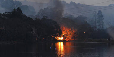 Dutzende Verletzte bei Buschbränden