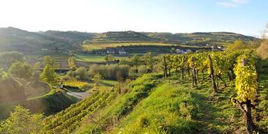 Windr&auml;der im Waldviertel? &ndash; kommt f&uuml;r Naturschutz-LR Rosenkranz nicht in Frage