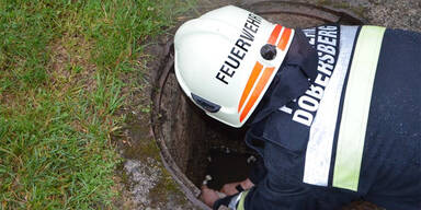 Heftige Unwetter über NÖ und Wien 