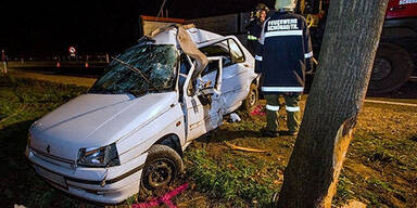 Autolenker weicht Hasen aus - tot
