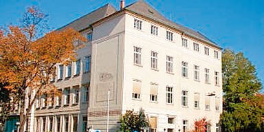 &Ouml;VP-Gemeinderat betrog Elternverein