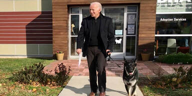 Bidens Hund hat wieder zugebissen