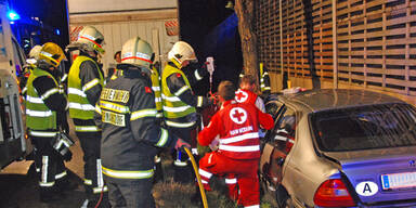 PKW raste bei Mödling gegen Baum