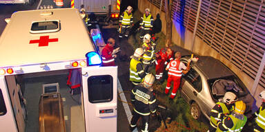 PKW raste bei Mödling gegen Baum