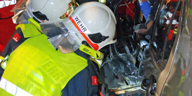 PKW raste bei Mödling gegen Baum