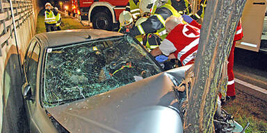 PKW raste bei Mödling gegen Baum