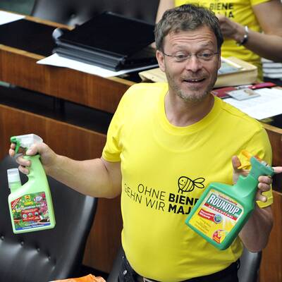 Die Bilder zur Bienen-Sitzung