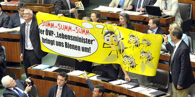 Weitgehendes Verbot der Neonicotinoide