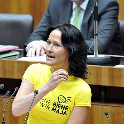 Die Bilder zur Bienen-Sitzung