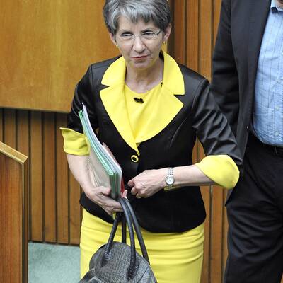 Die Bilder zur Bienen-Sitzung