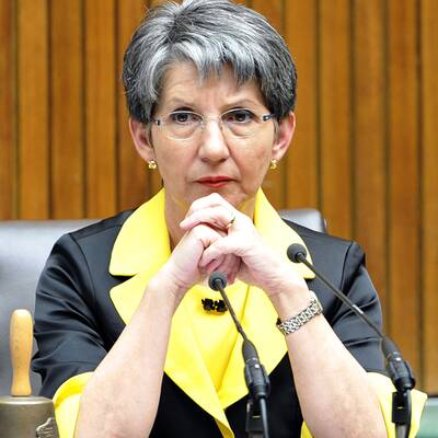 Die Bilder zur Bienen-Sitzung