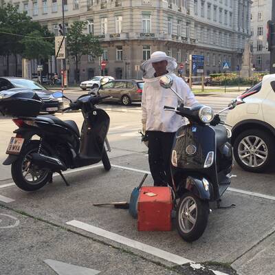 Bienen-Alarm vor dem Lebensministerium