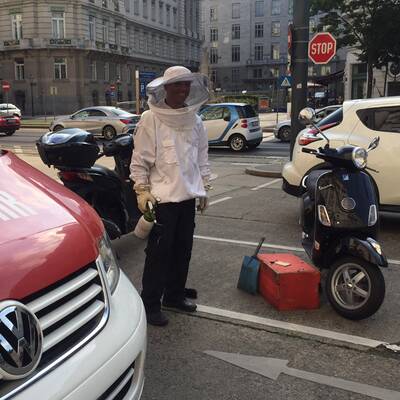 Bienen-Alarm vor dem Lebensministerium