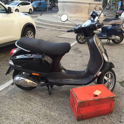 Bienen-Alarm vor dem Lebensministerium