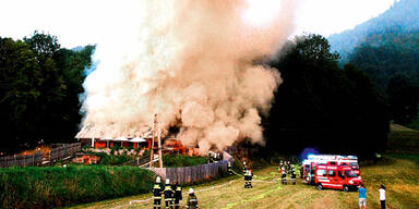 Zoo-Inferno: Direktor steht unter Verdacht