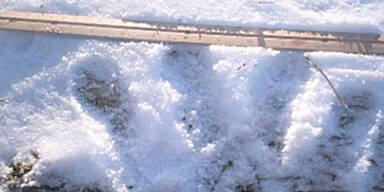 Foto-Beweis: Legendärer Bigfoot lebt