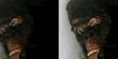 Neues Foto von angeblich totem Bigfoot veröffentlicht