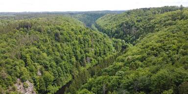 Nationalpark Kampwald