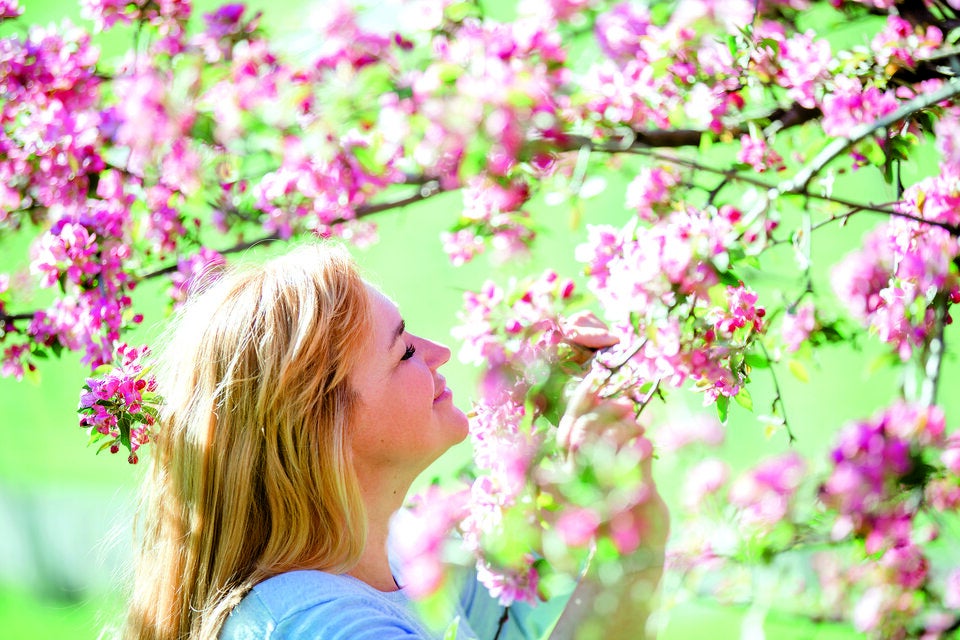 Tulpen-Expertin verrät: So bekommen Sie den schönsten Frühlingsgarten