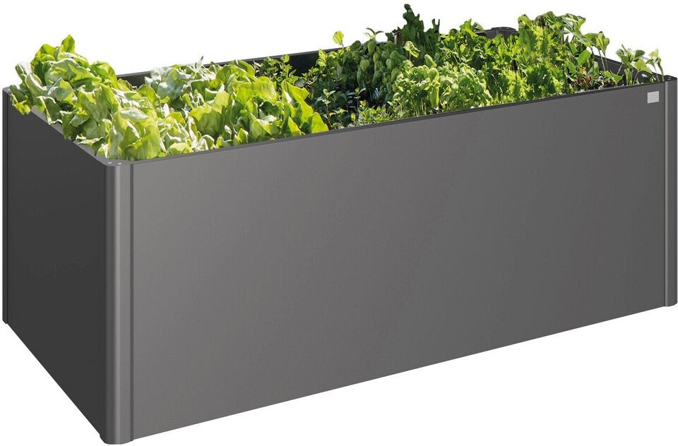 Biohort Hochbeet 2x1
