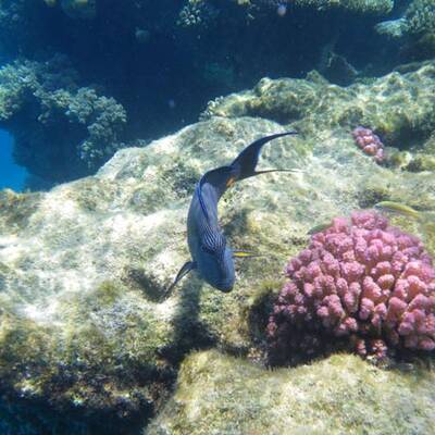 Die schönsten Urlaubsfotos