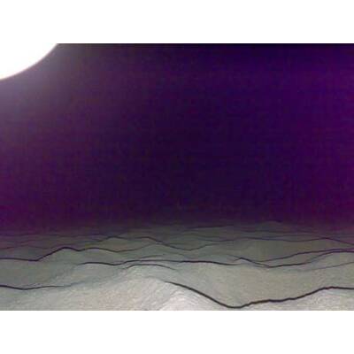 Die besten Urlaubsfotos