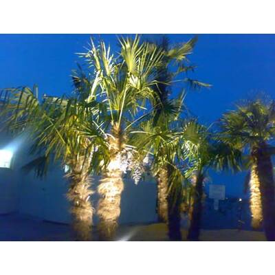 Die besten Urlaubsfotos