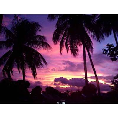 Die romantischsten Fotos